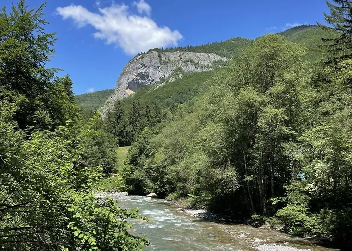 De L'elephant Saint-Jean-dʼAulps